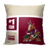 [Personalization Only] OFFICIAL NHL Colorblock Pillow - Arizona Coyotes